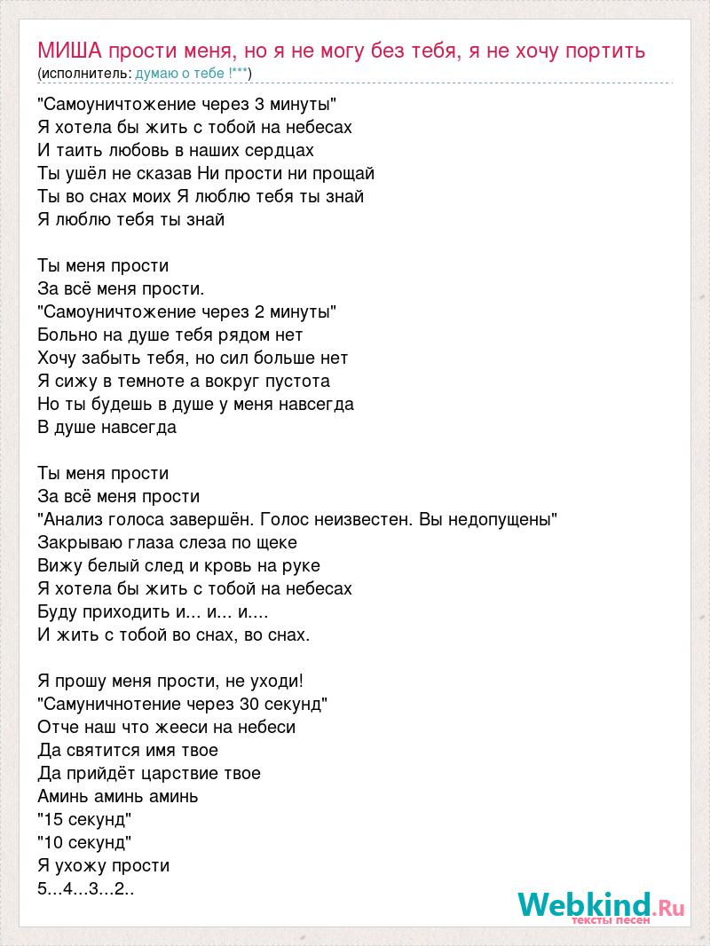 Небо под тобой песня текст. Текст песни без тебя. Песни про Мишу текст. Я не могу без тебя текст. Песенка про Мишу.