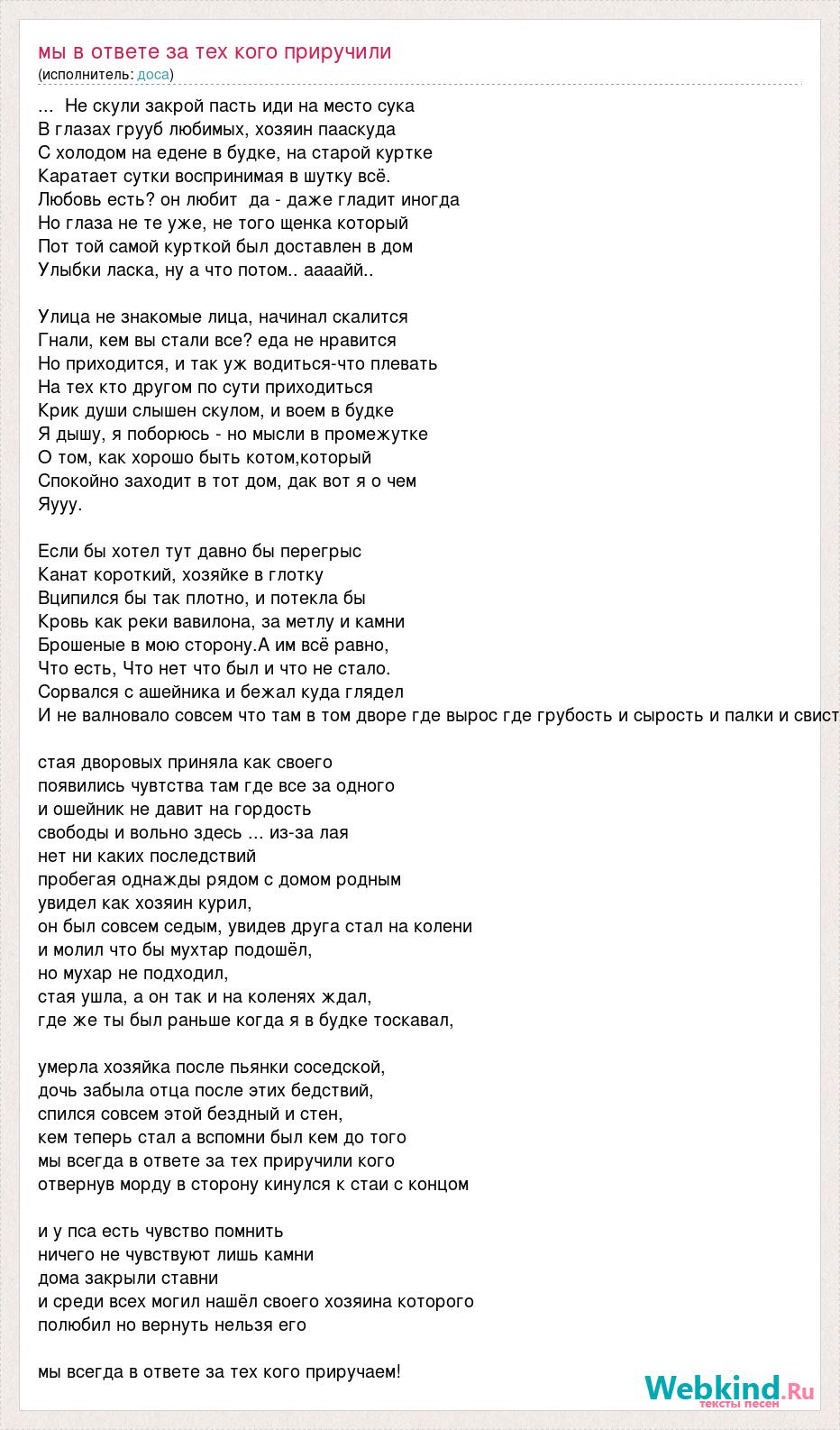 Текст песни Мы в ответе за тех кого приручили, слова песни