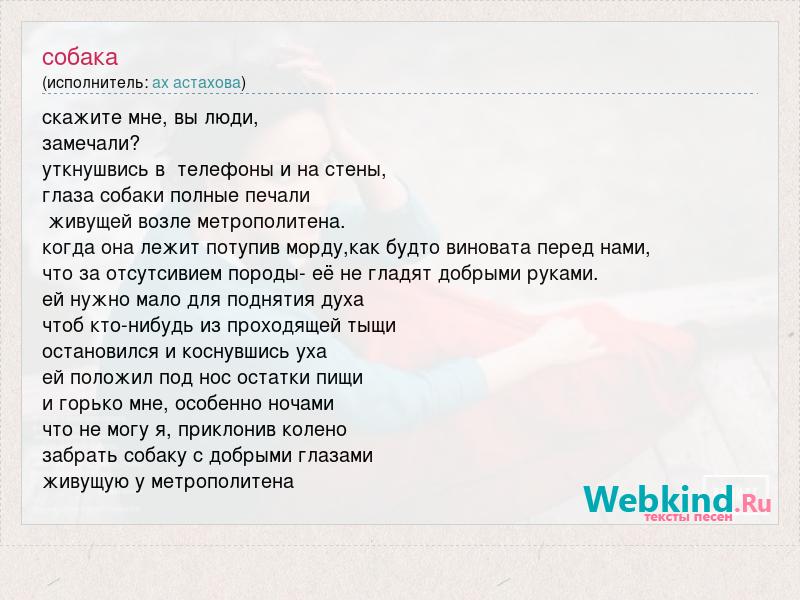 Принесите мясо тут голодные собаки текст песни. Песня про собаку слова. Песня про собаку текст. Песни про собак текст. Песенка про собаку текст.