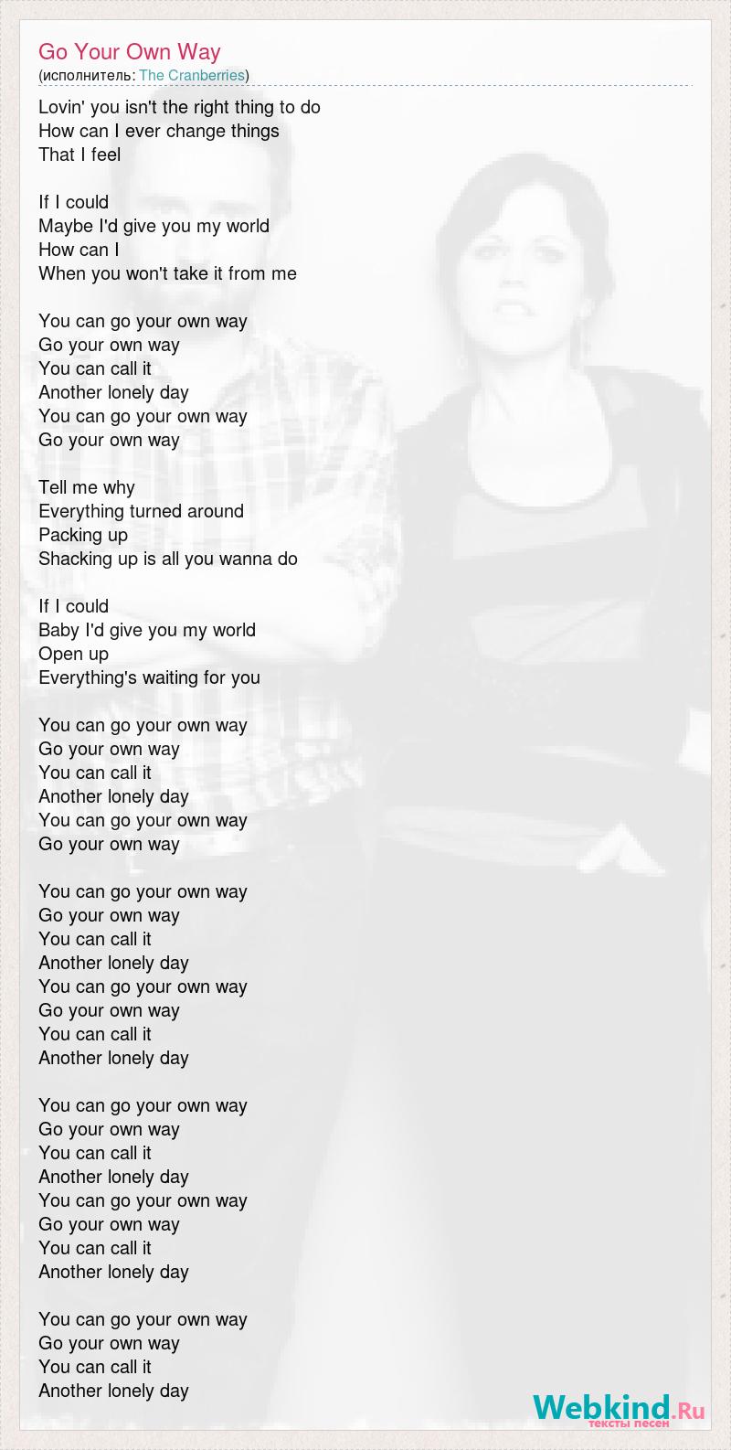 Текст песни Go Your Own Way, слова песни