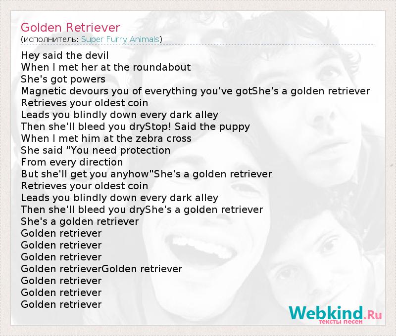 Текст песни Golden Retriever, слова песни